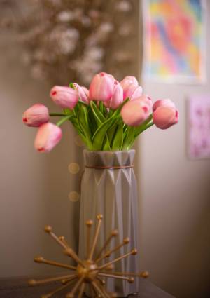 Allium_02